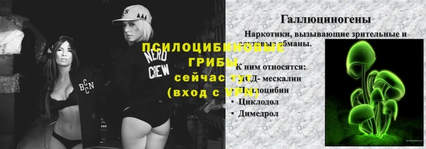 эйфоретик Алзамай