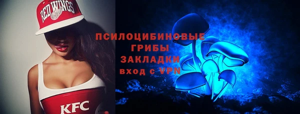 эйфоретик Алзамай