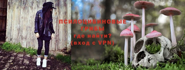эйфоретик Алзамай