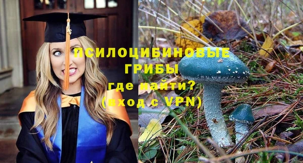 кокаин Алексеевка
