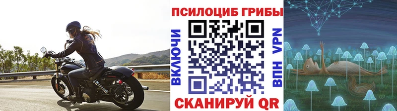 цена наркотик  Прохладный  маркетплейс состав  Галлюциногенные грибы мицелий 